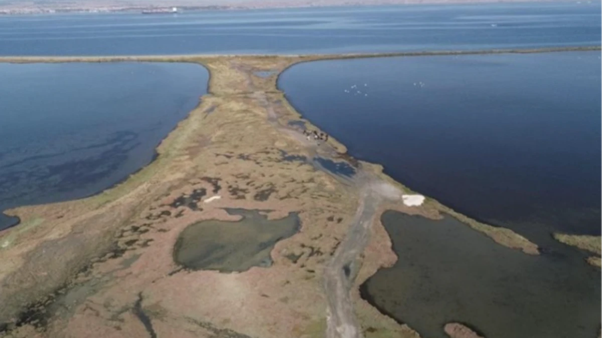 Sulak alan kaybı k&uuml;resel ekonomiyi tehdit ediyor: Yıllık 39 trilyon dolarlık risk