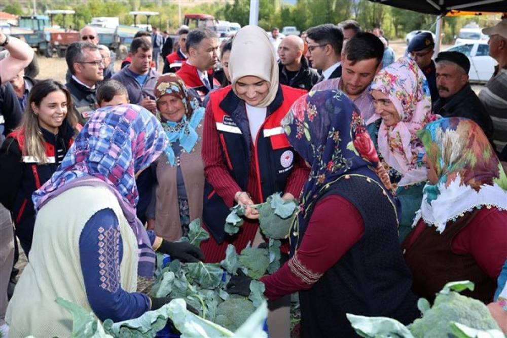 Vali Yiğitbaşı, brokoli hasadına katıldı