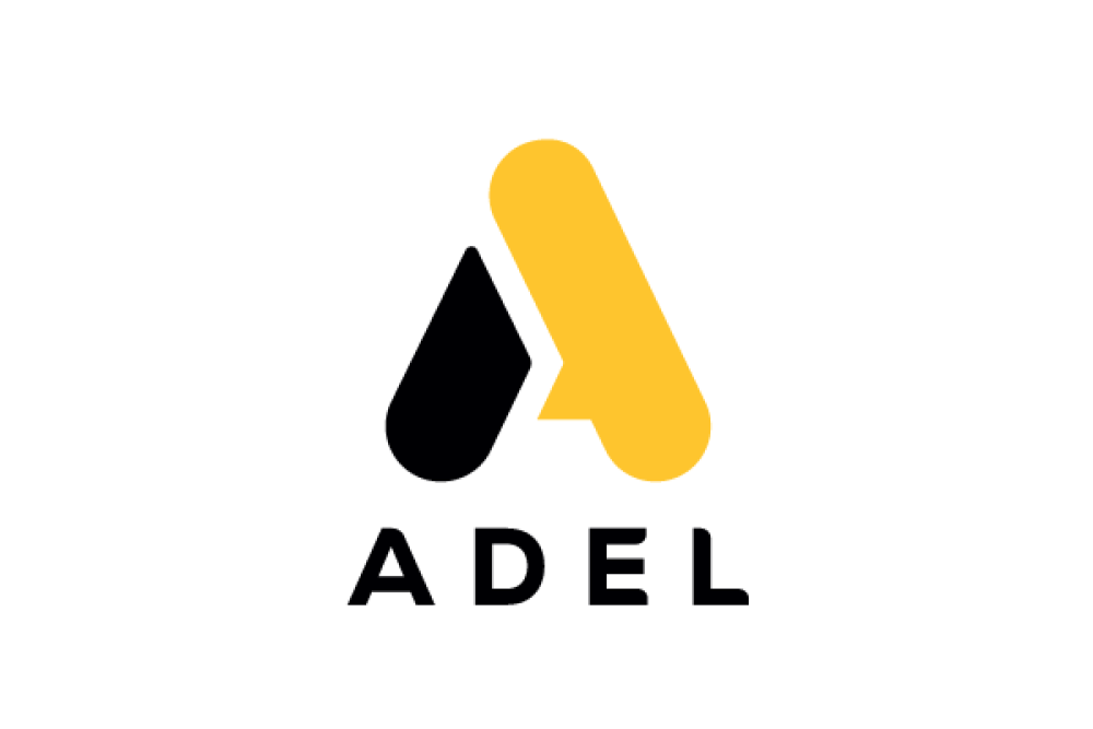 Adel, 2024 yılında 19 milyon TL net kar elde etti