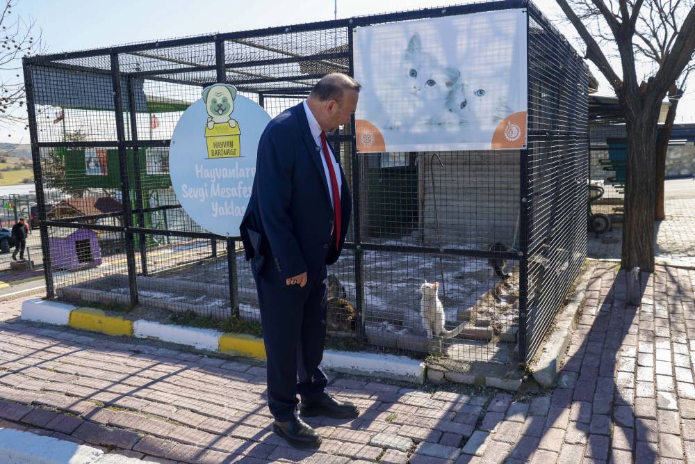 Başkan Yalım'dan sokak hayvanlarını sahiplendirme çağrısı 