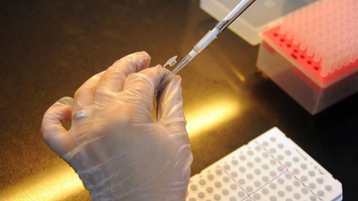 Demir oksit tabanlı iletken m&uuml;rekkep geliştirildi