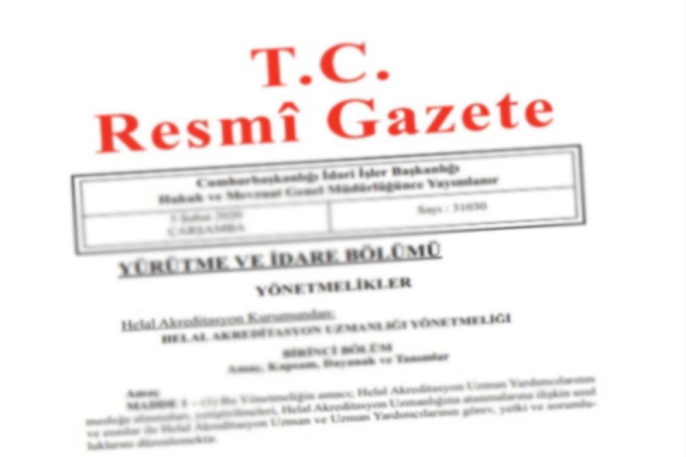 &Ouml;deme kuruluşlarının uzaktan kimlik tespitine ilişkin d&uuml;zenleme Resmi Gazete&rsquo;de