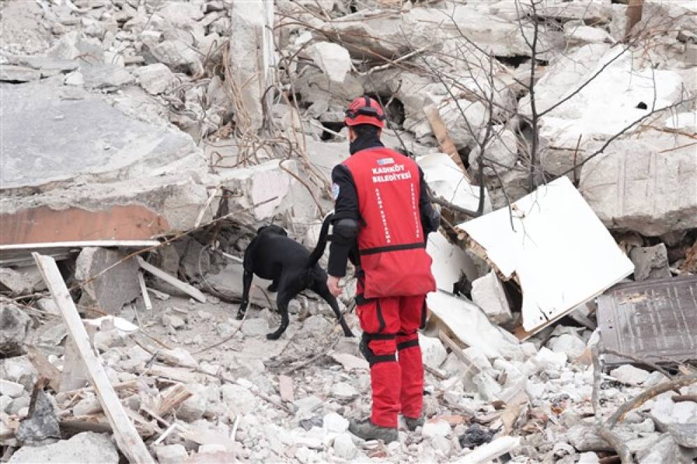 Kadıköy'de deprem tatbikatı düzenledi