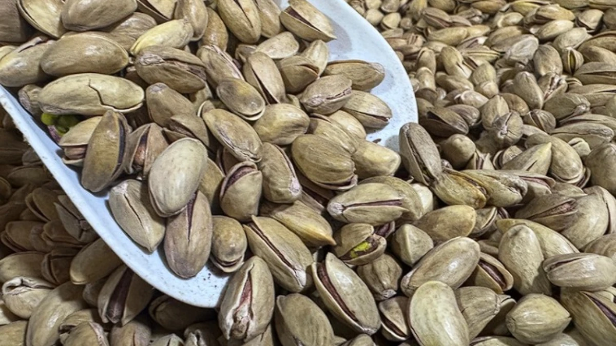 Fıstık ihracatı geriledi: İlk &ccedil;eyrekte 32,8 milyon dolar gelir