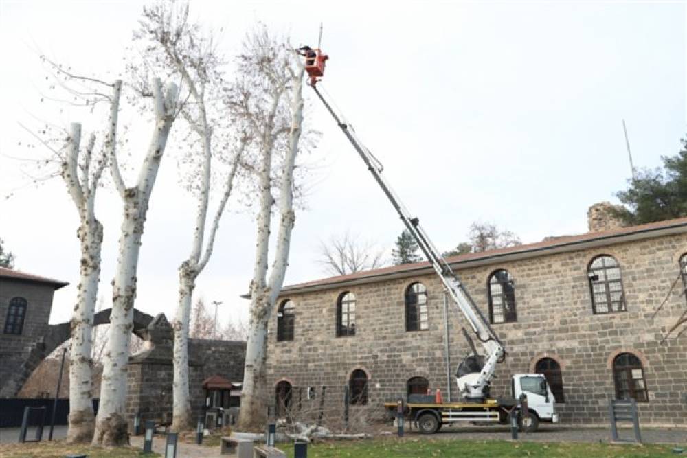 Diyarbakır'da 25 bin ağaç budandı