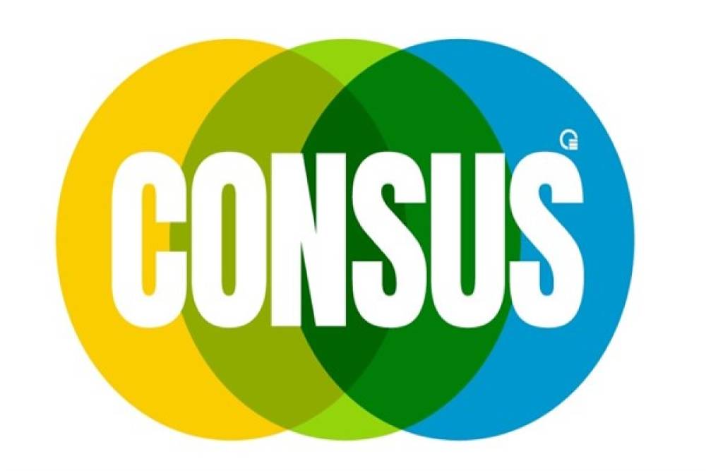 Consus Enerji'nin SPK başvurusuna onay