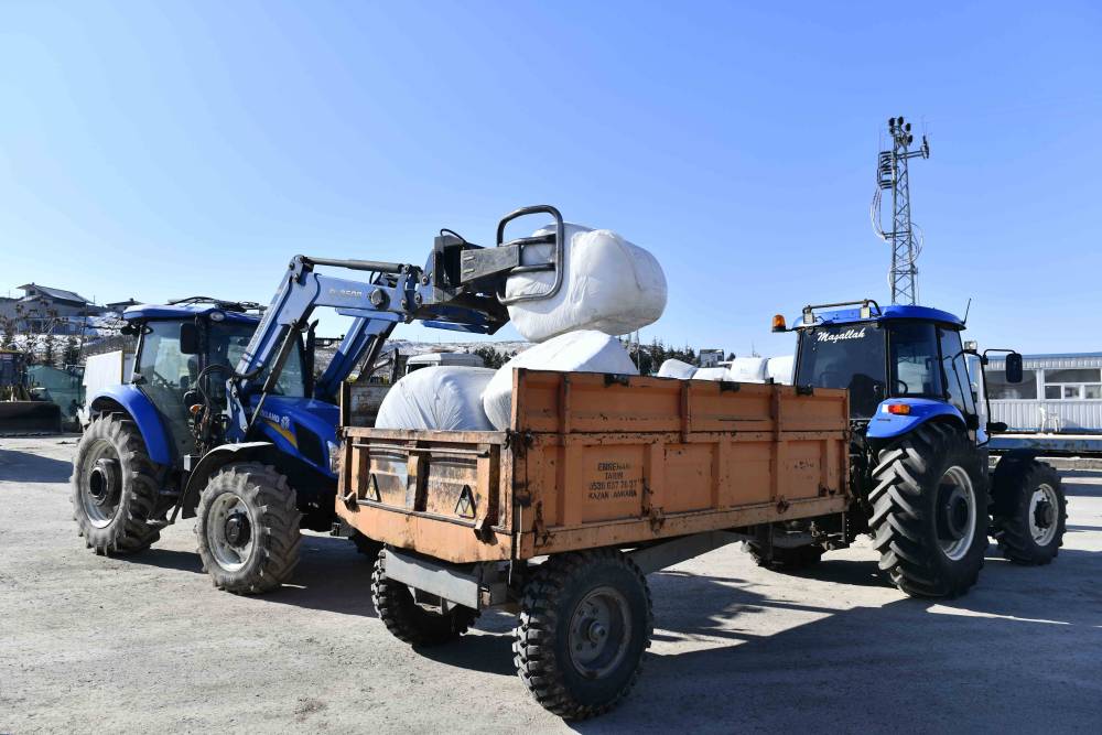 Ankara Büyükşehir Belediyesi mısır silajı desteğine devam ediyor