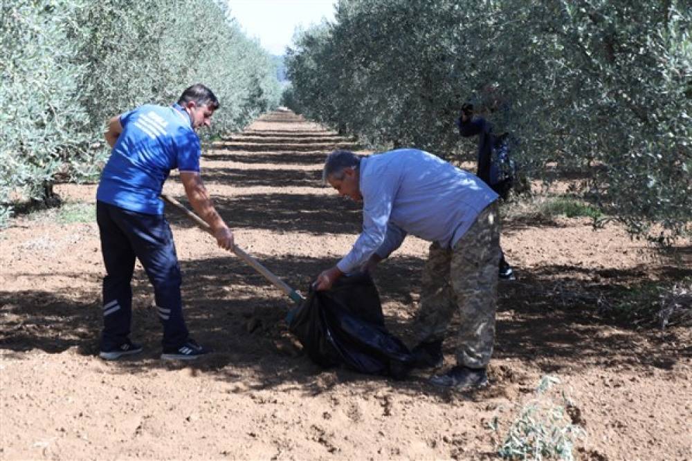 Muğla'da üreticilere toprak analizi hizmeti 