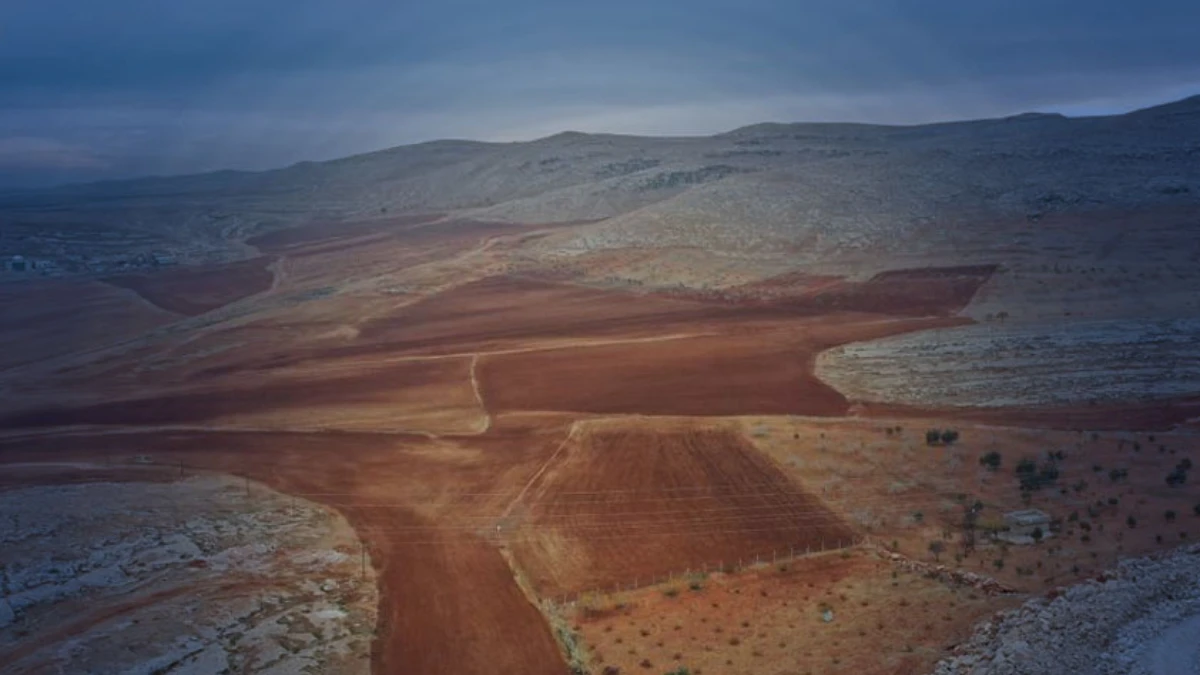 İşlenmeyen tarım arazileri &uuml;retime kazandırılıyor: Y&uuml;zde 75'e varan hibe desteği