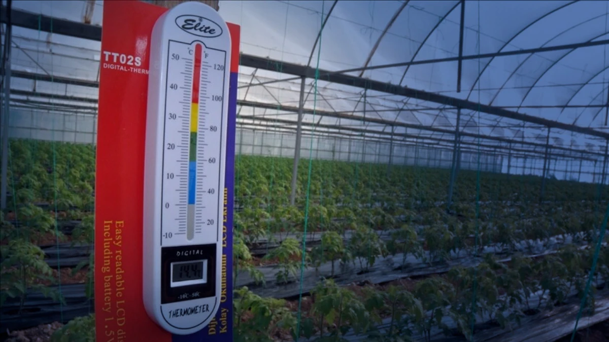 &Uuml;reticiye kritik uyarı: Bazı b&ouml;lgelerde zirai don tehlikesi