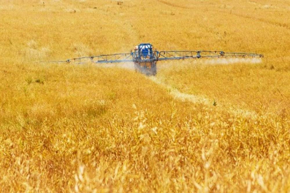 T&Uuml;RİB Buğday Ekmeklik Endeksi haftayı y&uuml;zde 4,75 artışla tamamladı