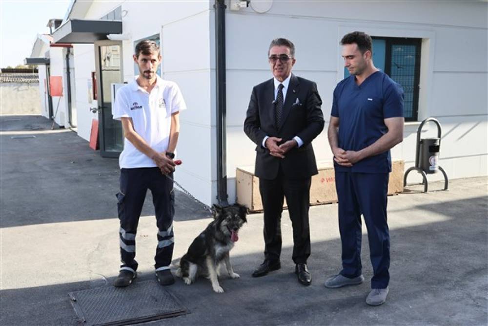 Başkan Mutlu, barınaktan köpek sahiplendi