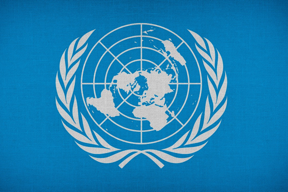 T&uuml;rk: El Fasher&rsquo;deki insan hakları felaketi &ouml;nlenebilirdi