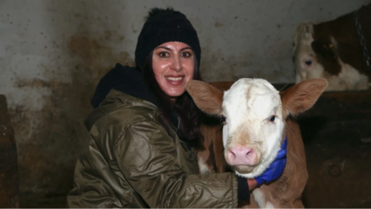 Devlet desteğiyle başladı: 3 yılda 200 başlık s&uuml;r&uuml; kurdu