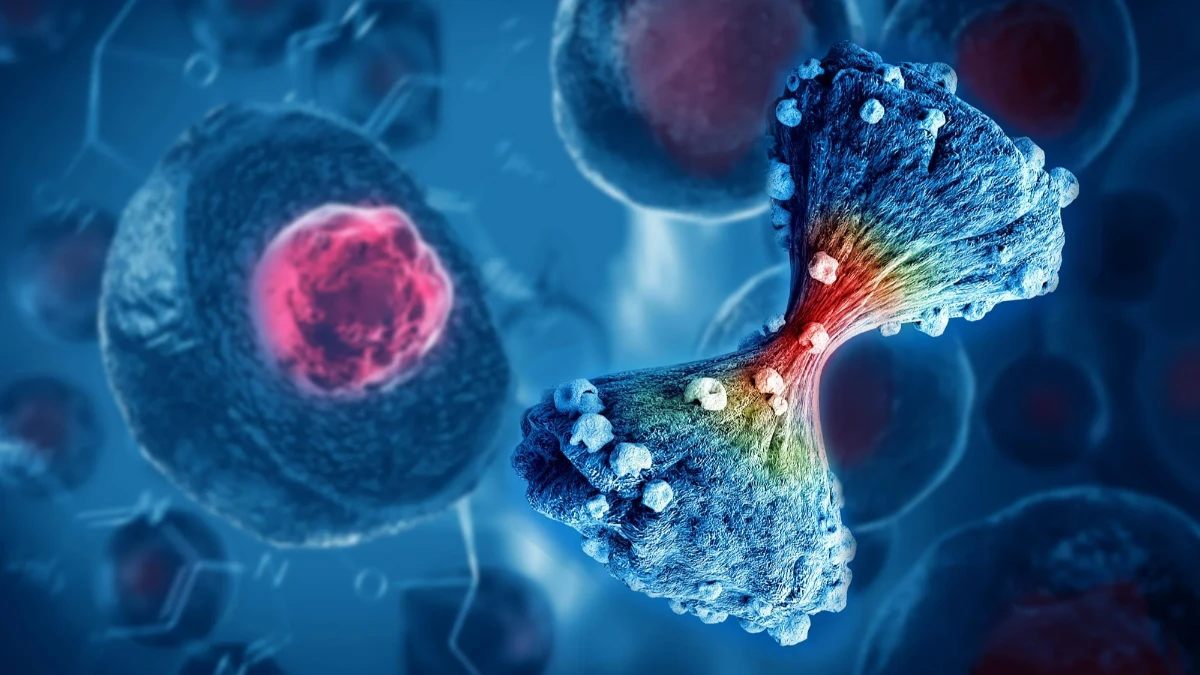 Kanser yayılımını tahmin eden yapay zeka modeli geliştirildi: MangroveGS