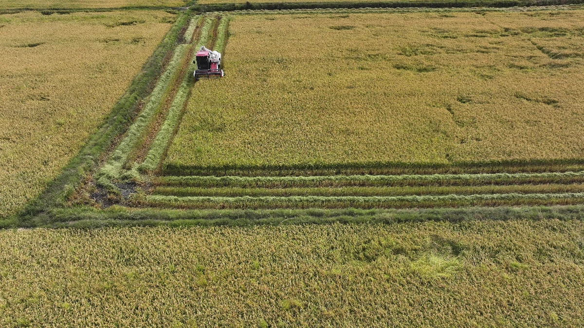 Bakan Yumaklı a&ccedil;ıkladı: 19,5 milyar lira tarımsal destekleme &ouml;demesi bug&uuml;n yapılacak