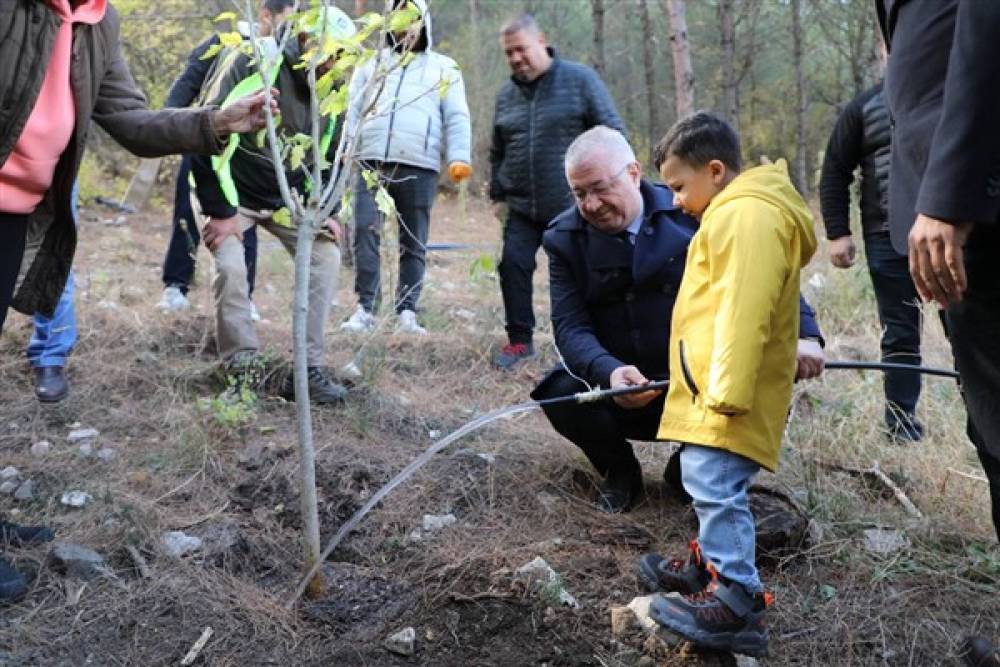 Edremit’te fidan dikimi etkinliği düzenlendi 