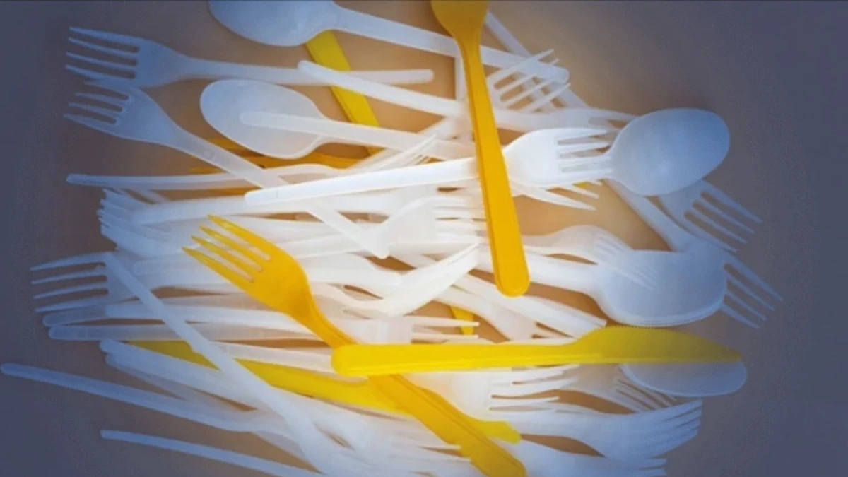 Plastik &ccedil;atal, tabak ve pipetler yasaklanacak: Bakanlık y&ouml;netmelik hazırlıyor