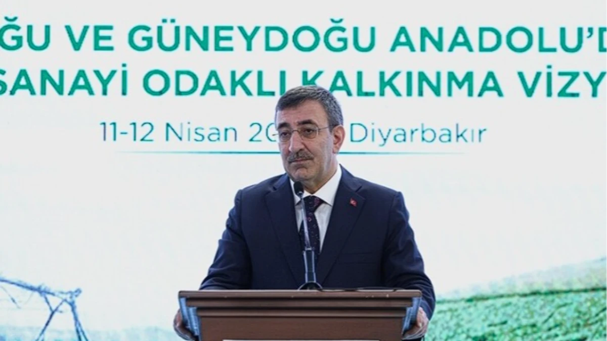 GAP&rsquo;ta d&ouml;n&uuml;ş&uuml;m: &Ccedil;ok sekt&ouml;rl&uuml; kalkınma modeli