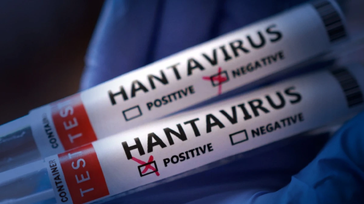 Sağlık Bakanlığından 'hantavir&uuml;s' a&ccedil;ıklaması: T&uuml;rk vatandaşların test sonu&ccedil;ları negatif