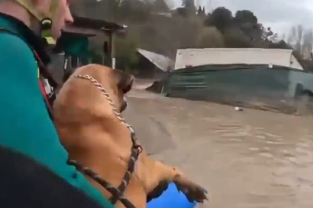 Portekiz'de sellerde binlerce kişi tahliye edildi, yol &ccedil;&ouml;kt&uuml;, i&ccedil;işleri bakanı istifa etti
