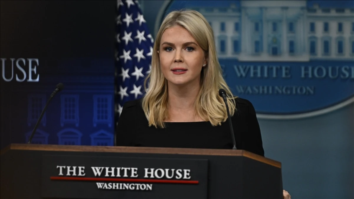 Beyaz Saray: Enerji arzı i&ccedil;in gemi kurallarında muafiyet g&uuml;ndemde