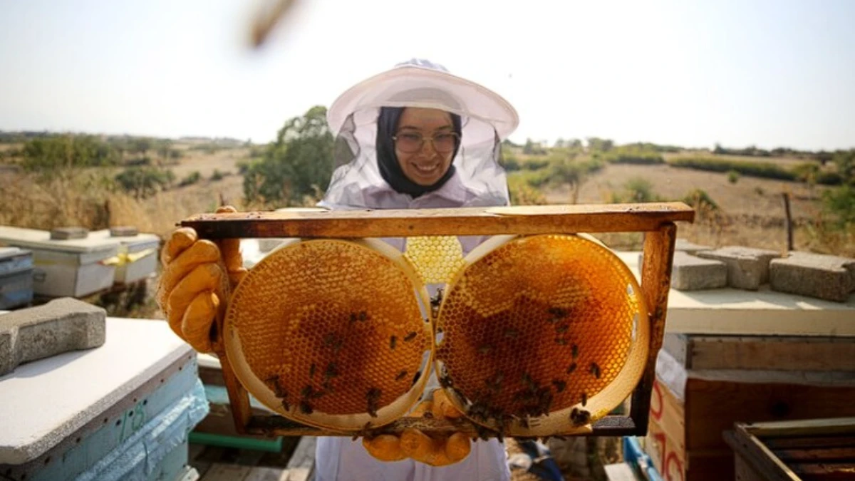 T&uuml;rk balı 31 &uuml;lkeye ulaştı: İlk &ccedil;eyrekte 9,2 milyon dolar gelir