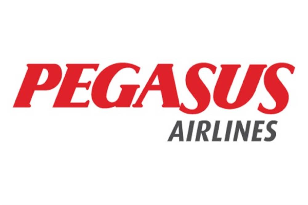 Pegasus'un bakanlık başvurusuna onay