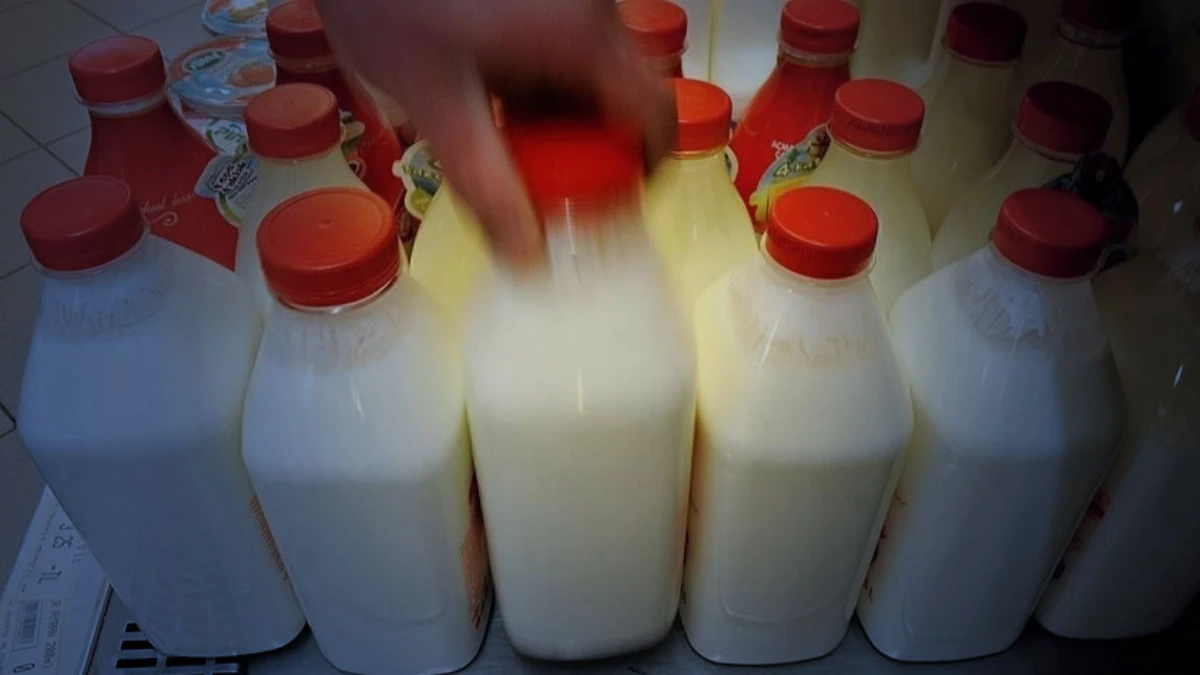 T&uuml;rkiye'nin ayran, kefir ve yoğurt &uuml;retimi b&uuml;y&uuml;k artış: 4 ayda rekor seviyeye &ccedil;ıktı
