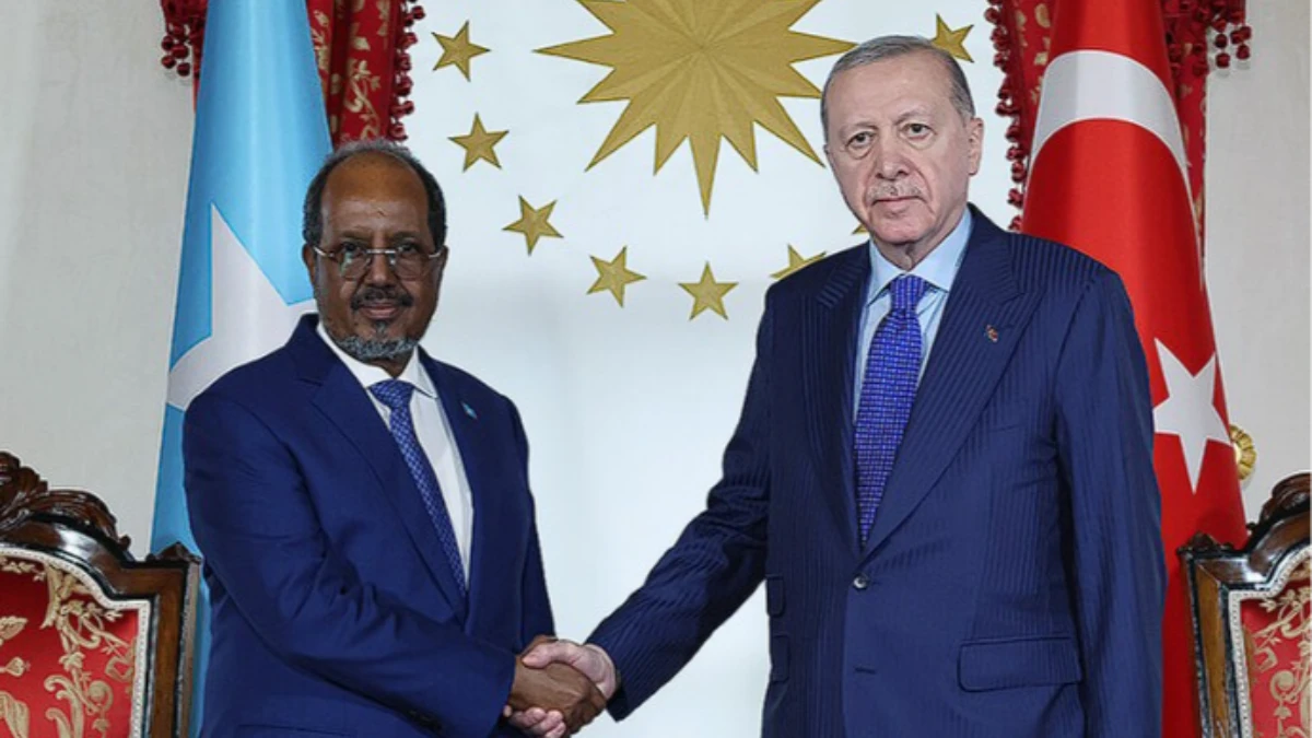 Somali Cumhurbaşkanı Mahmud: T&uuml;rkiye'den başka kimimiz var ki?