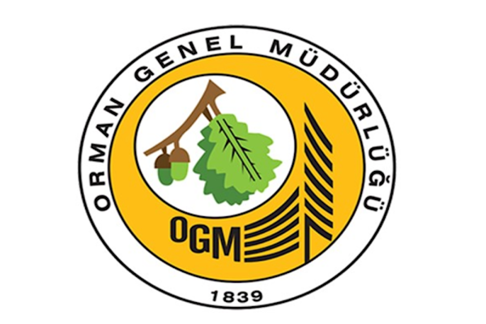 OGM: Balıkesir ve Bilecik&rsquo;teki yangınlara havadan ve karadan m&uuml;dahale s&uuml;r&uuml;yor