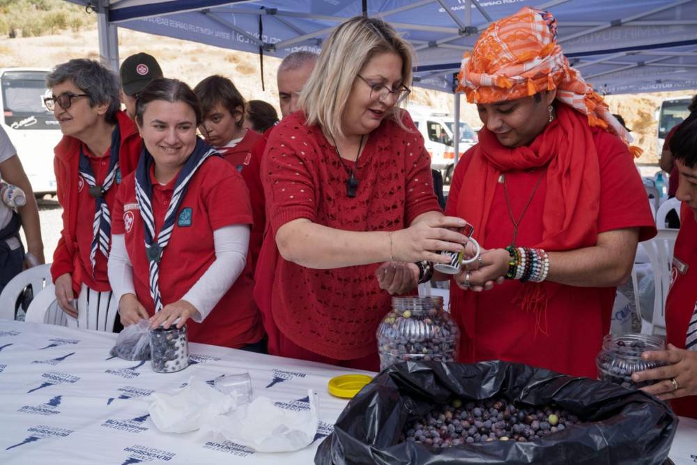 Engelli bireyler zeytin hasadına katıldı