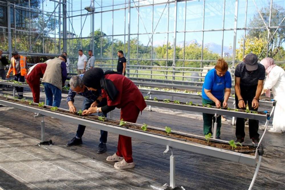 Antalya'da Alzheimer hastaları, rehabilitasyon için fide dikti