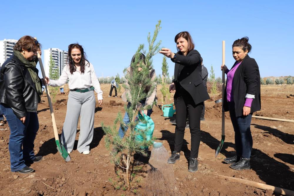 Eş Başkan Bucak, kadınlarla birlikte 80 fidan dikti