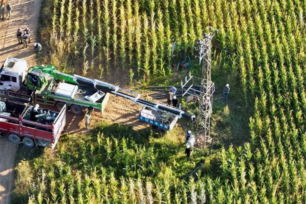 Hasat Bitti, tarım sahalarındaki kaçak trafolar bitmedi