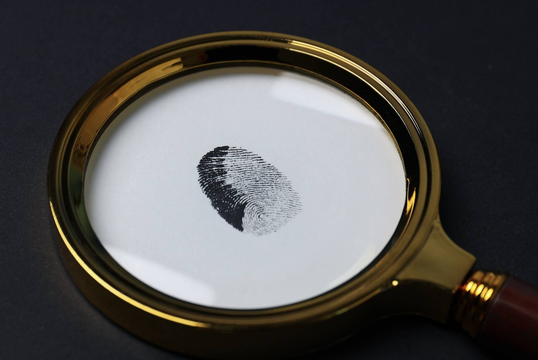 IMF'den T&uuml;rkiye raporu: Dezenflasyon programı başarıyla s&uuml;r&uuml;yor