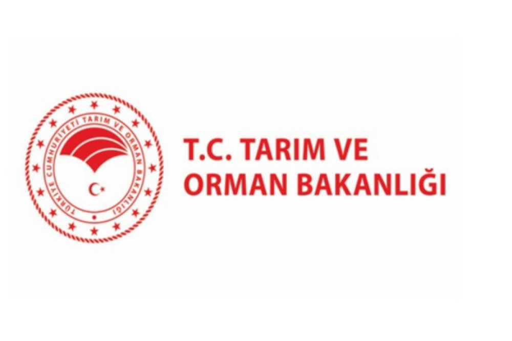 Tarım ve Orman Bakanlığı, balık&ccedil;ılıkta yeni d&uuml;zenlemeleri hayata ge&ccedil;iriyor