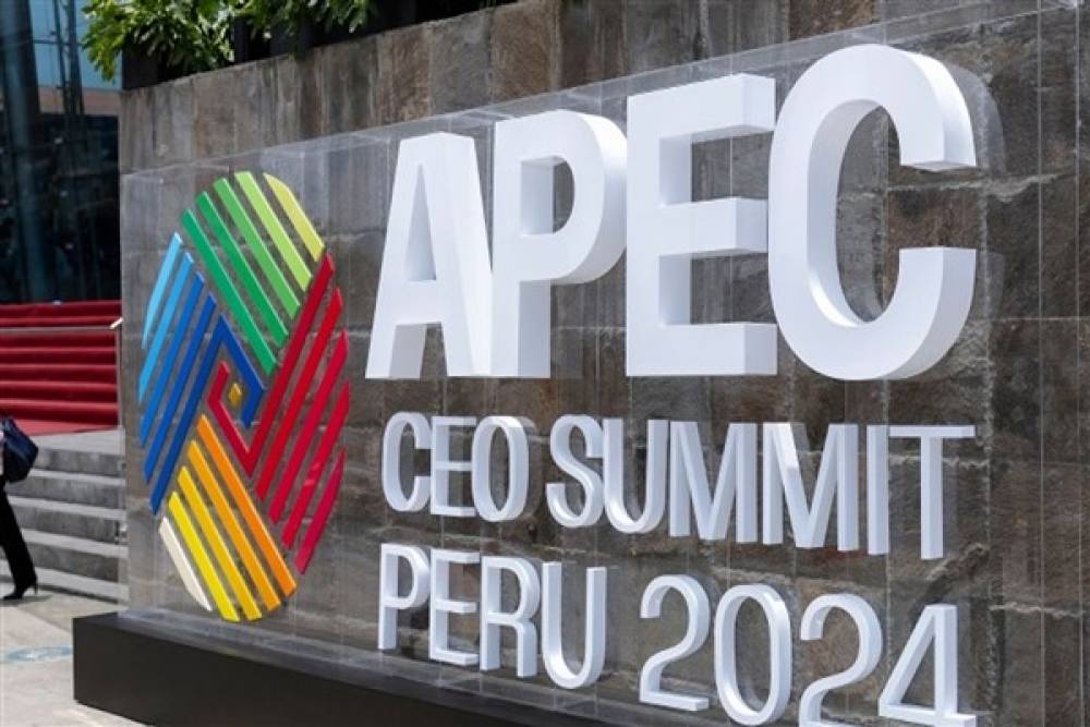 Çin Cumhurbaşkanı Xi APEC CEO Zirvesi'nde konuştu