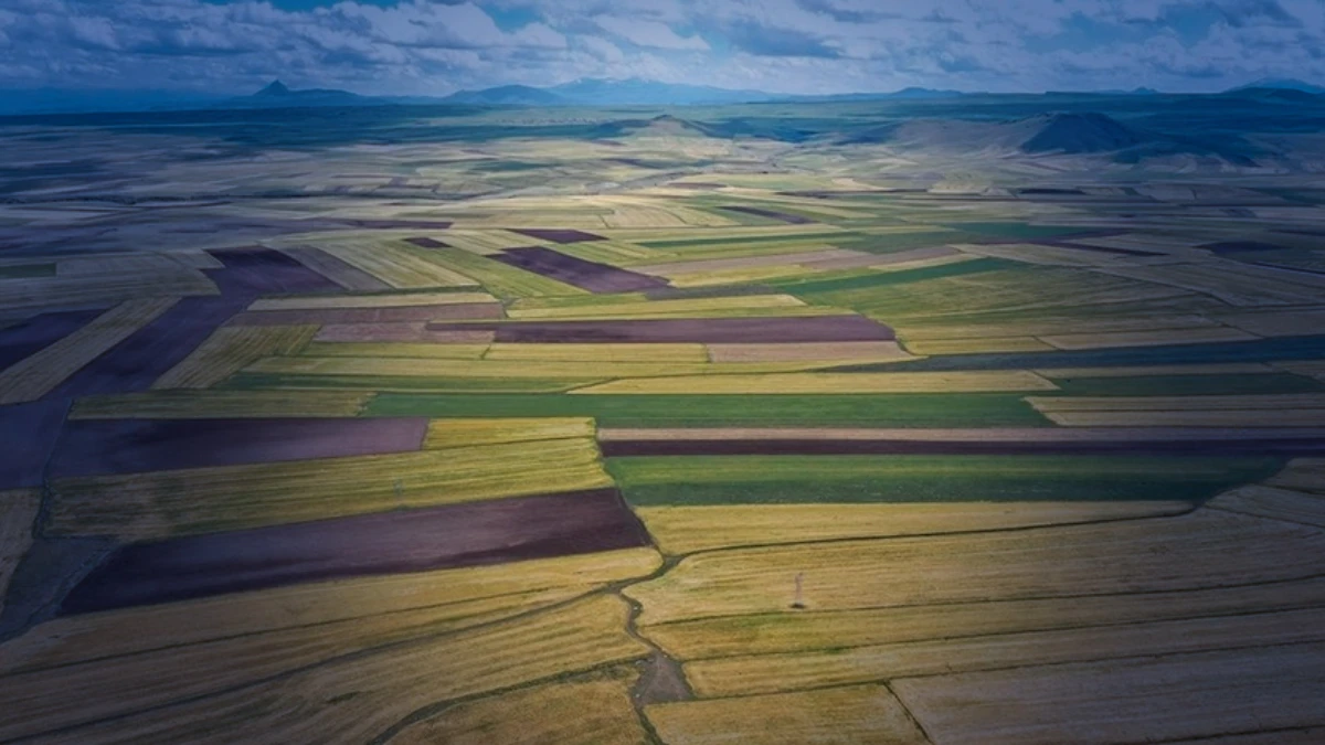 Arsa ve tarlaya ilgi s&uuml;r&uuml;yor: Satışlar 2025'te 1,6 milyonu aştı