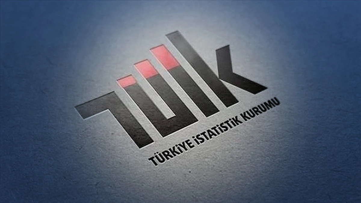 Dış ticaret endeksleri g&uuml;ncellendi: T&Uuml;İK yeni serileri yayımlayacak