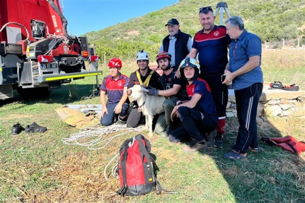 İzmir İtfaiyesi, Menderes'te kuyuya düşen keçiyi kurtardı