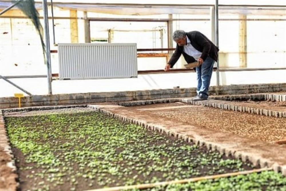 Kayapınar Belediyesinden kent geneli ve kırsal mahallelere bitki desteği 