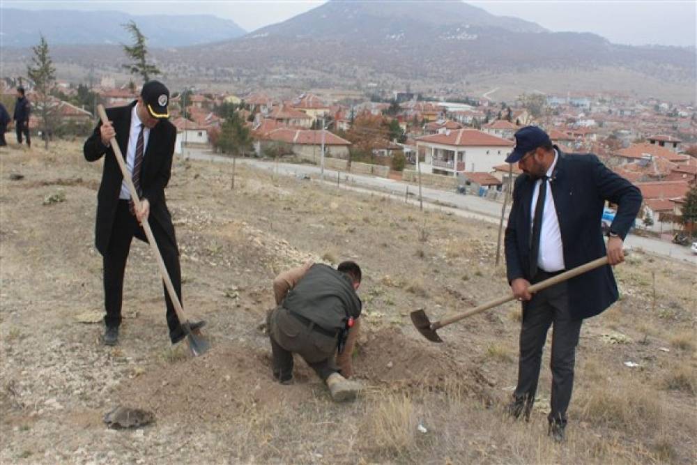 Bayat'ta ağaç dikme etkinliği yapıldı