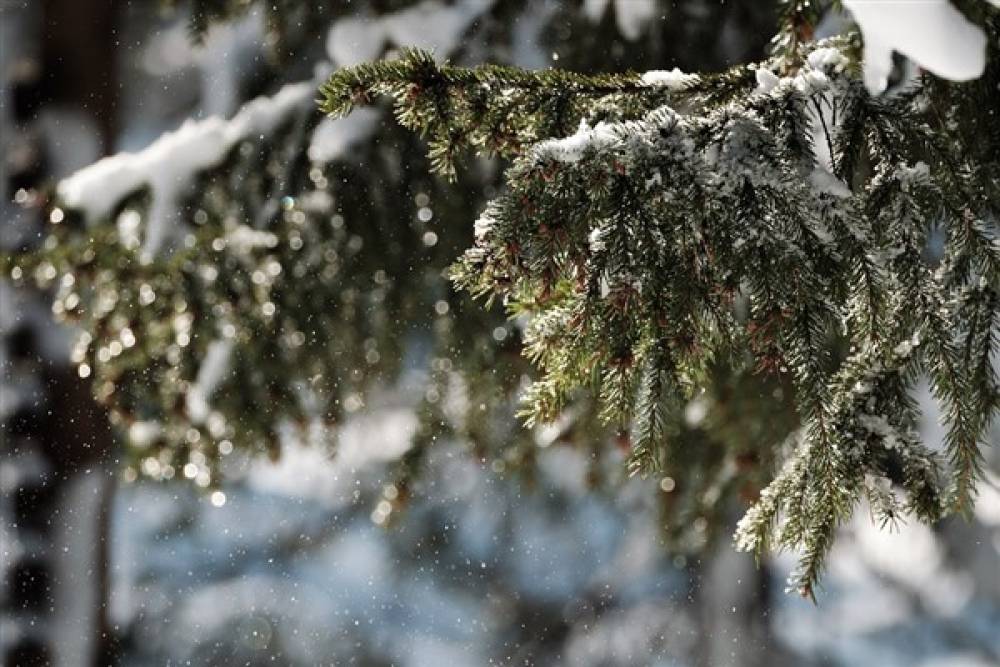 Meteoroloji’den buzlanma, don ve çığ tehlikesi uyarısı