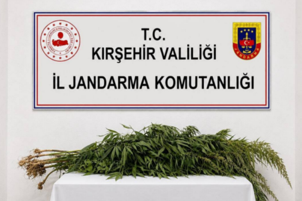 Kırşehir&rsquo;de iki kişinin evinde 30 k&ouml;k kenevir ele ge&ccedil;irildi