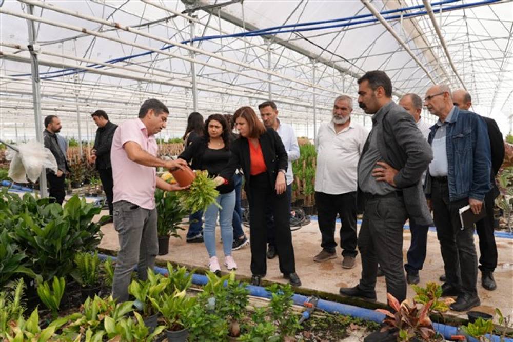 Diyarbakır Büyükşehir Belediyesi eş başkanları, Şanlıurfa’daki sera alanlarını inceledi