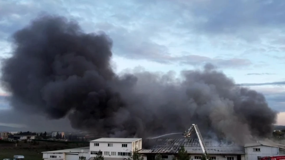 Tuzla'da fabrikada yangın &ccedil;ıktı! İtfaiye ekipleri m&uuml;dahale ediyor