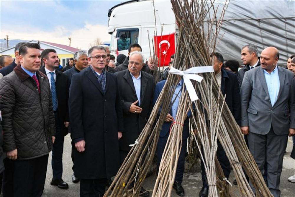 Van Büyükşehir Belediyesi'nden çiftçilere 640 bin meyve fidanı