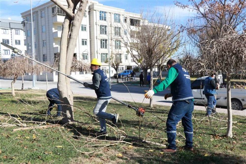 Haliliye’de park ve sokaklarda peyzaj çalışmaları sürdürülüyor