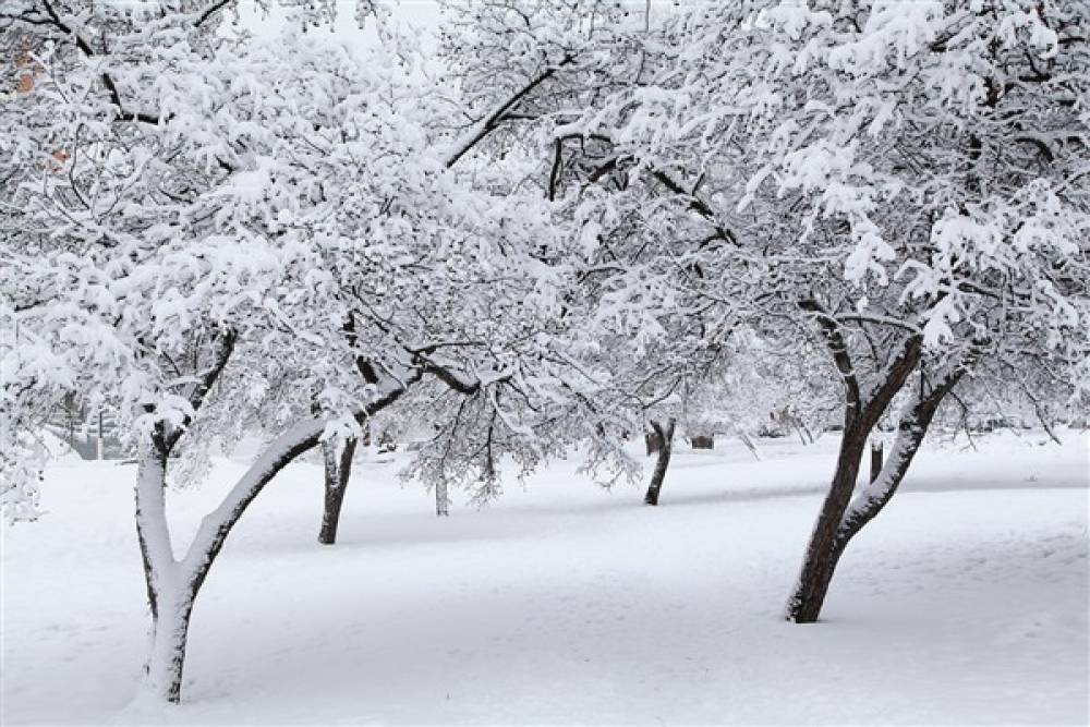 Samsun, Ordu ve Giresun'da kuvvetli kar yağışı bekleniyor